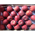 chinese huaniu apple china apple red apple